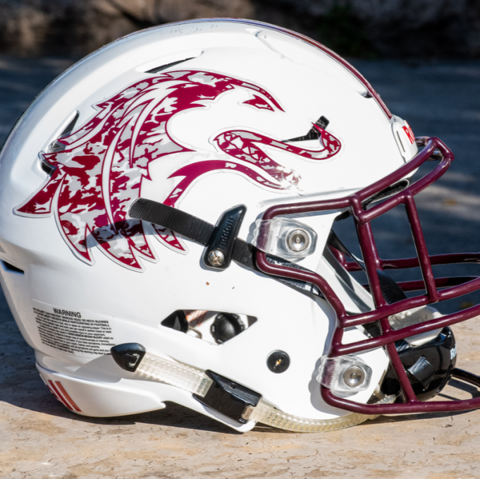 North Dakota State Bison vs. Southern Illinois Salukis at FargoDome